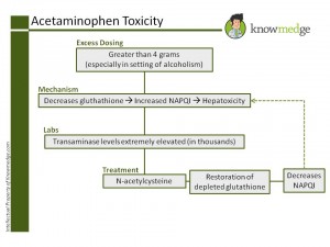 ABIM Acetaminophen Toxicity