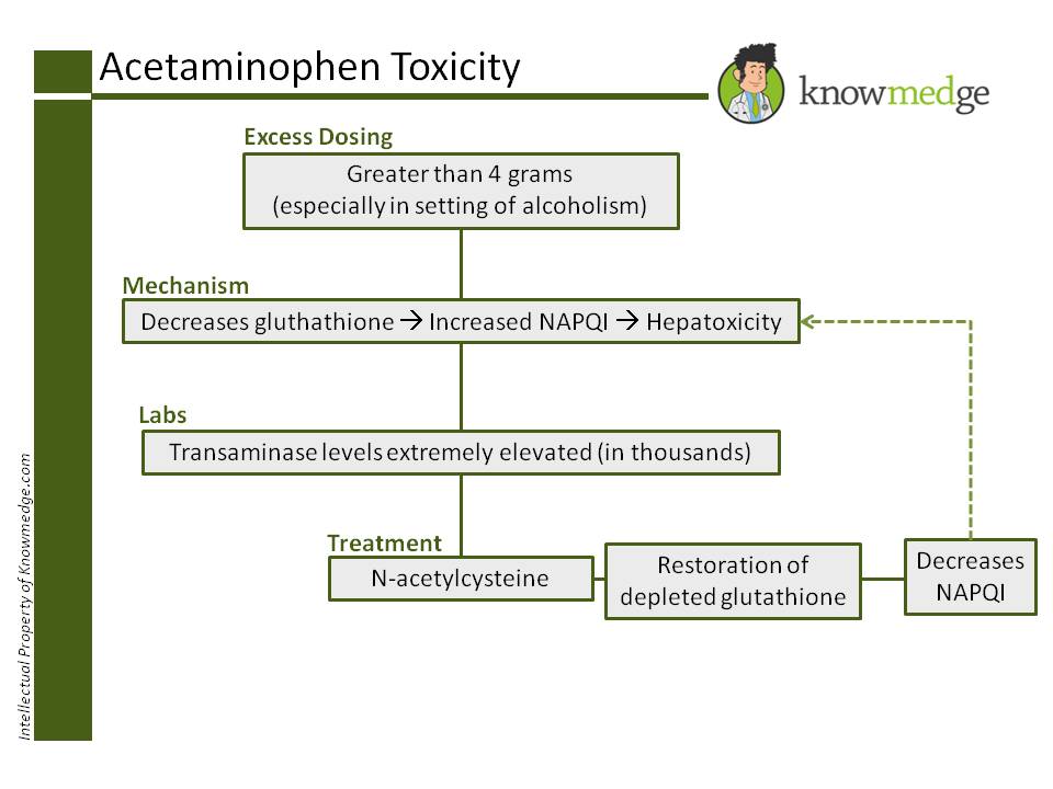 n acetylcysteine acetaminophen