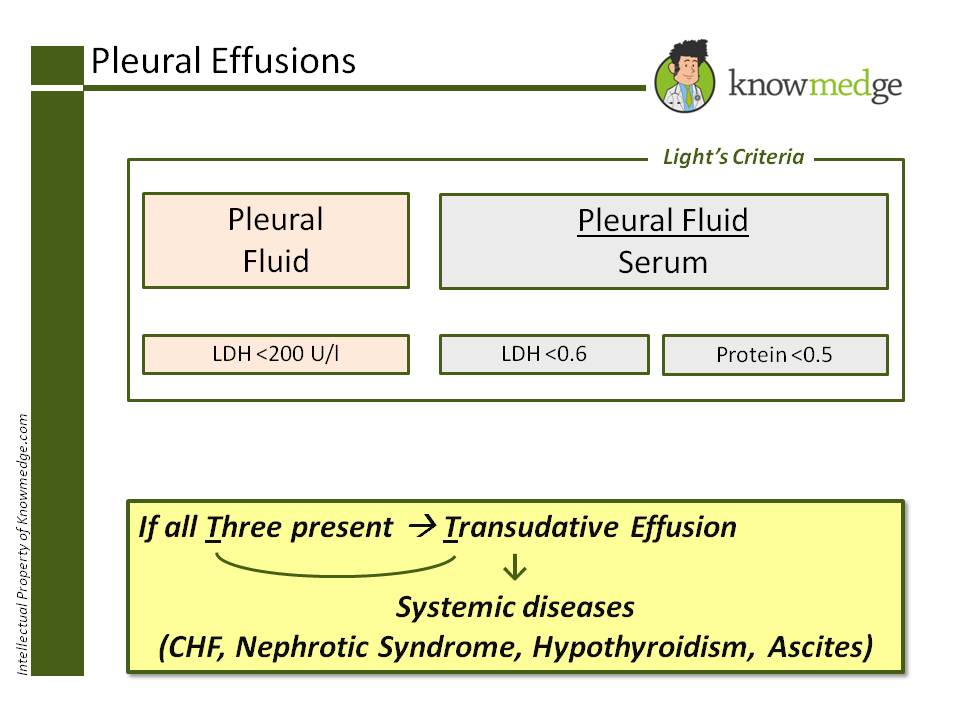 Light’s criteria will guide you to correctly identifying