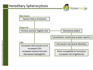 Hereditary Spherocytosis