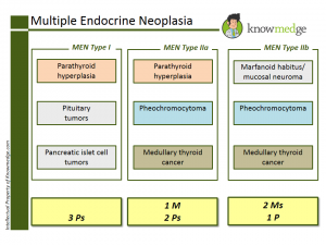 Multiple Endocrine Neoplasia