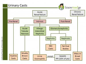 American Board of Internal Medicine Maintenance of Certification Review - Urinary Casts