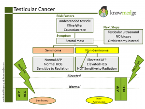 ABIM Board Exam Maintenance of Certification Review - Testicular Cancer