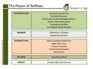 ABIM NBME Internal Medicine Board Concept - Reflexes