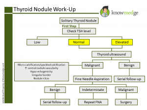 Internal Medicine Maintenance of Certification Practice Question - Thyroid Nodule Workup