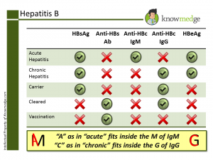ABIM Exam Review Question PDF - Hepatitis B