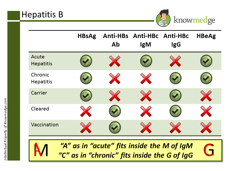 5 HighYield Gastroenterology Pearls for the ABIM Board & Medical