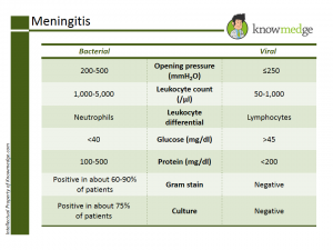 NBME Internal Medicine Shelf Exam Qbank PDF printout - Bacterial vs. Viral Meningitis