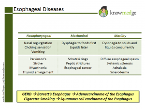NBME Shelf Exam - Internal Medicine Board Review Question - Esophageal Disease