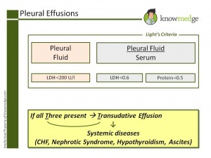 ABIM Maintenance of Certification Lights Criteria Pleural Effusion