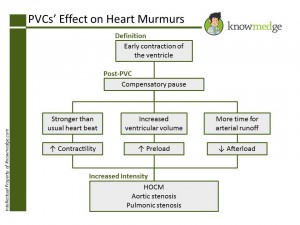 Cardiology review for the Internal Medicine Boards - PVCs effect on Heart Murmurs