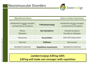 Internal Medicine Shelf Exam Study Neuromuscular Disorders