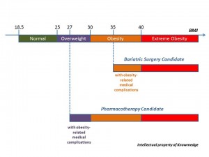 General Internal Medicine Review - Obsesity and BMI