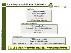Internal Medicine Focal Segmental Glomerulosclerosis