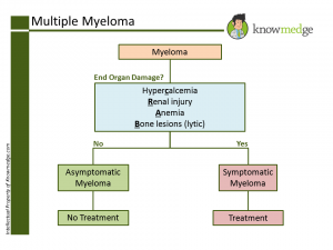 Internal Medicine Multiple Myeloma