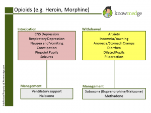 Internal Medicine Opioids