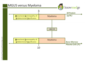 Internal Medicine Plasma Cell Dyscrasias