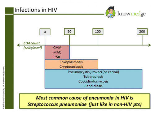 Usmle Step 3 Im Topic Review Hiv Usmle Internal Medicine Abim 2684