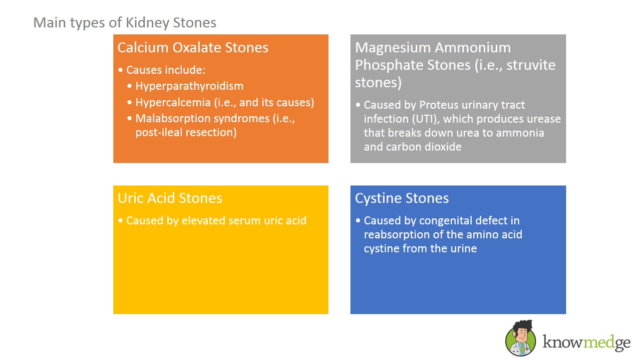 calcium oxalate crystals kidney stones