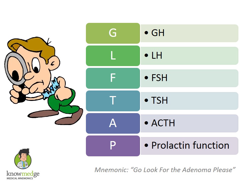 pituitary gland hormones mnemonic