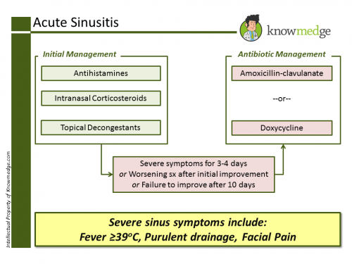 Sinusitis Internal Medicine