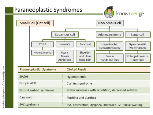 ABIM Exam Review - Paraneoplastic Syndromes