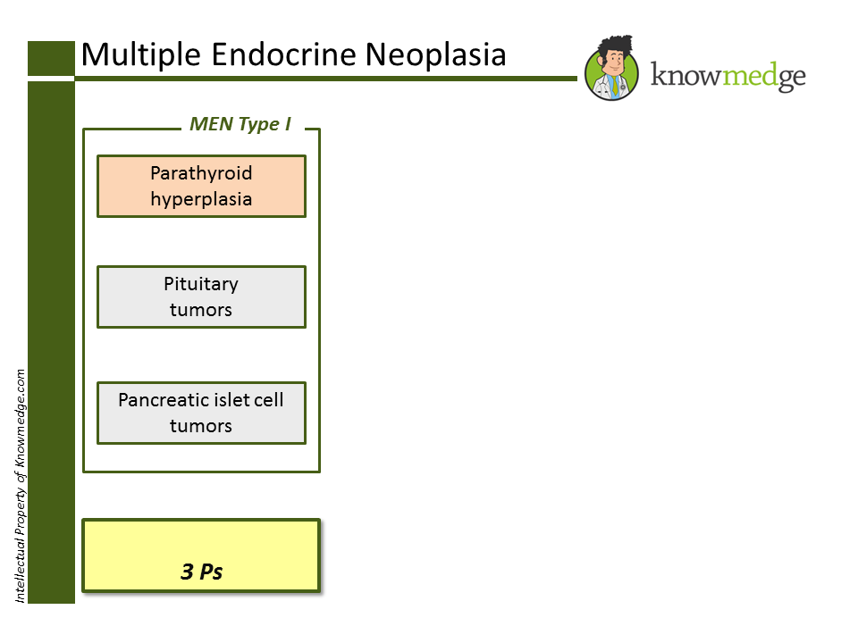 ABIM and PANCE Board Review: Multiple Endocrine Neoplasia - MEN Type I