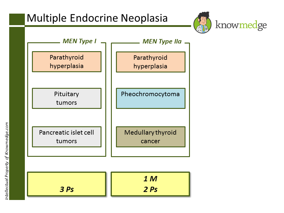ABIM and PANCE Board Review: Multiple Endocrine Neoplasia - MEN Type II