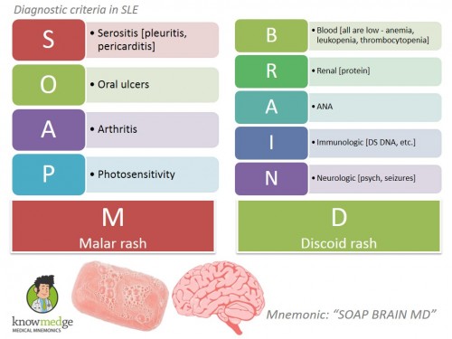 SLE-Diagnosis-SOAP-BRAIN-MD