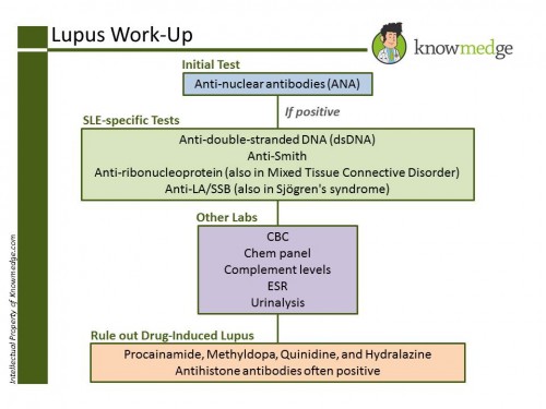 SLE Workup