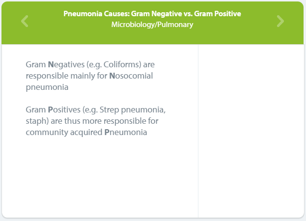Pneumonia Causes Internal Medicine